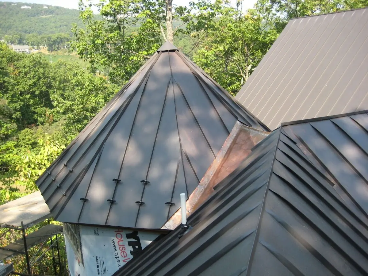 Professional Gutter Cleaning by Craftsman Roofing in South Park (South LA)